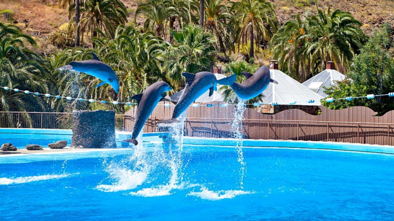 El Nido De Los Angeles Διαμέρισμα Πλάγια ντελ Ινγκλές Εξωτερικό φωτογραφία